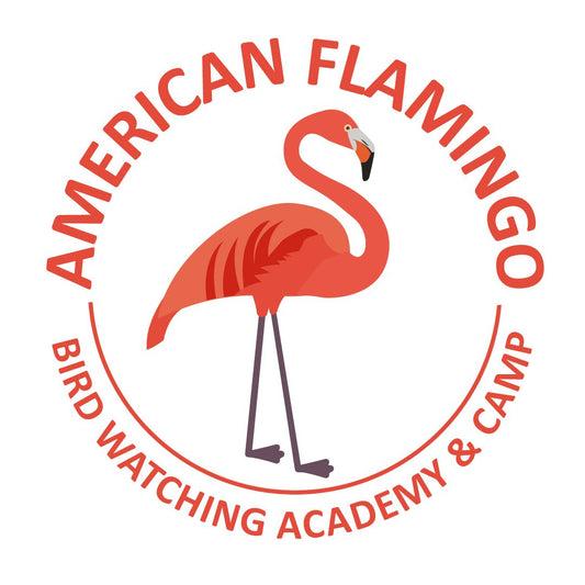 10 Amazing Facts About Flamingos