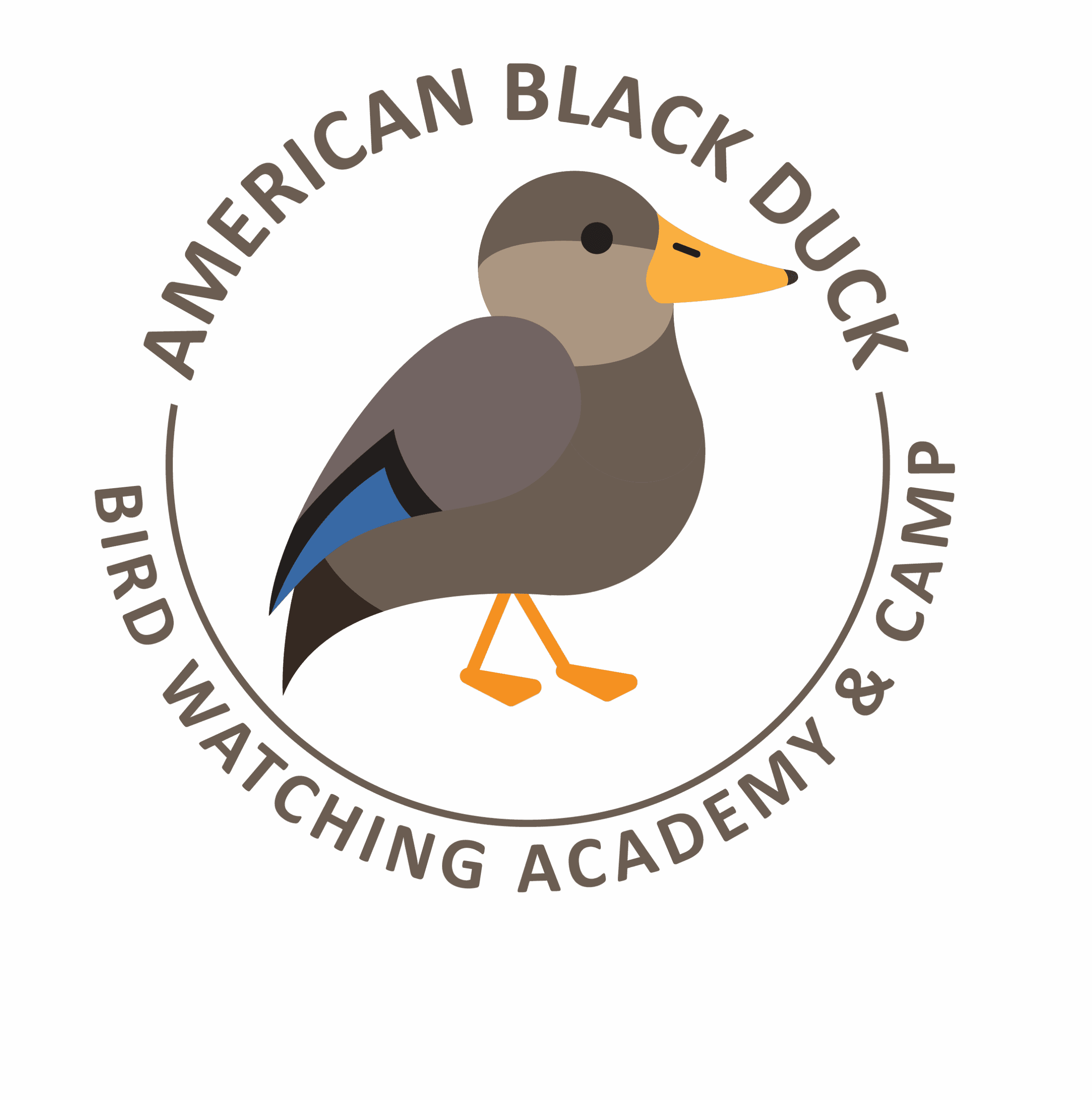American Black Duck My Store