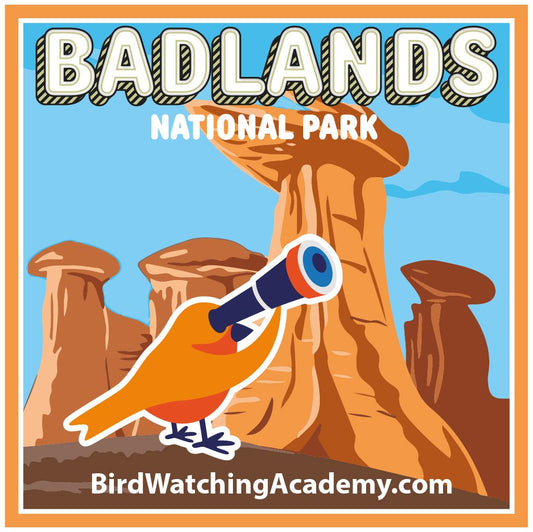 Bird Watching at Badlands National Park