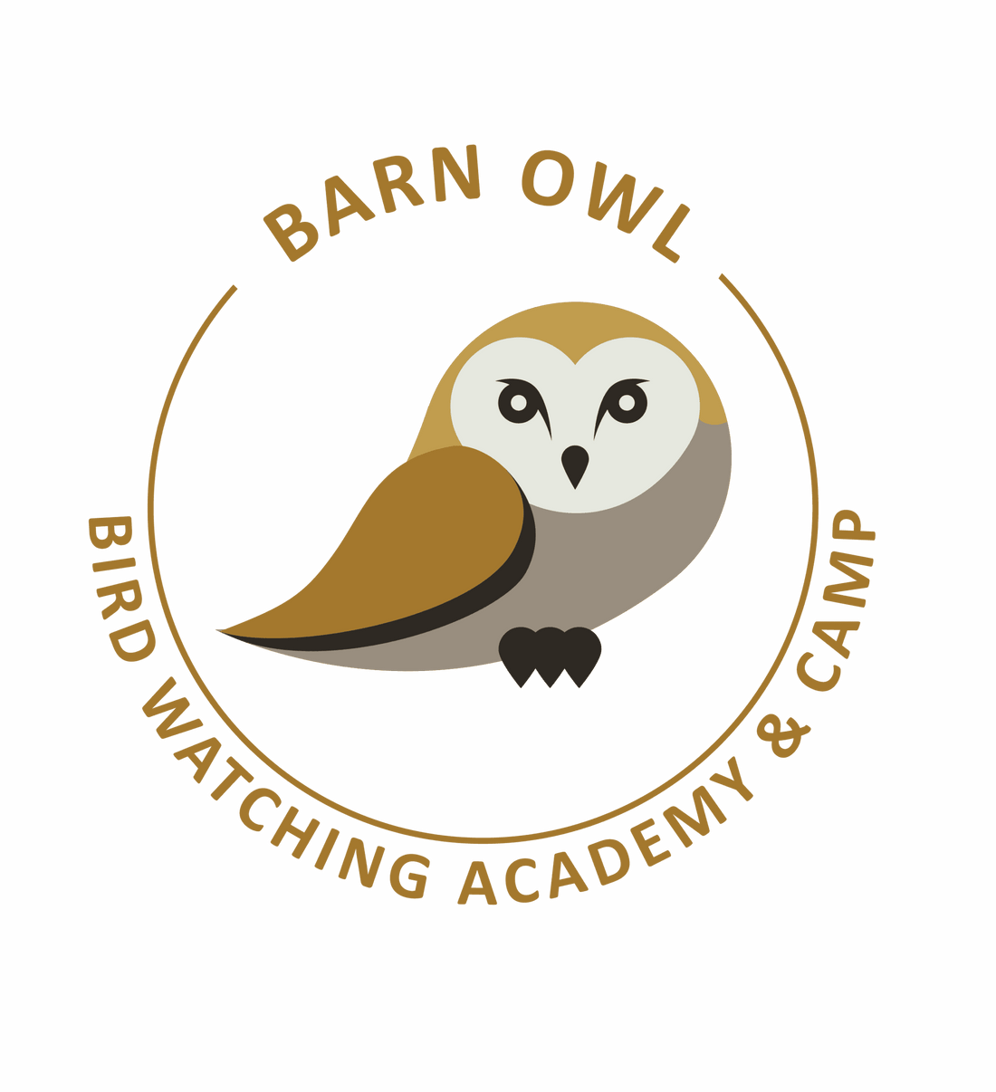 Barn Owl