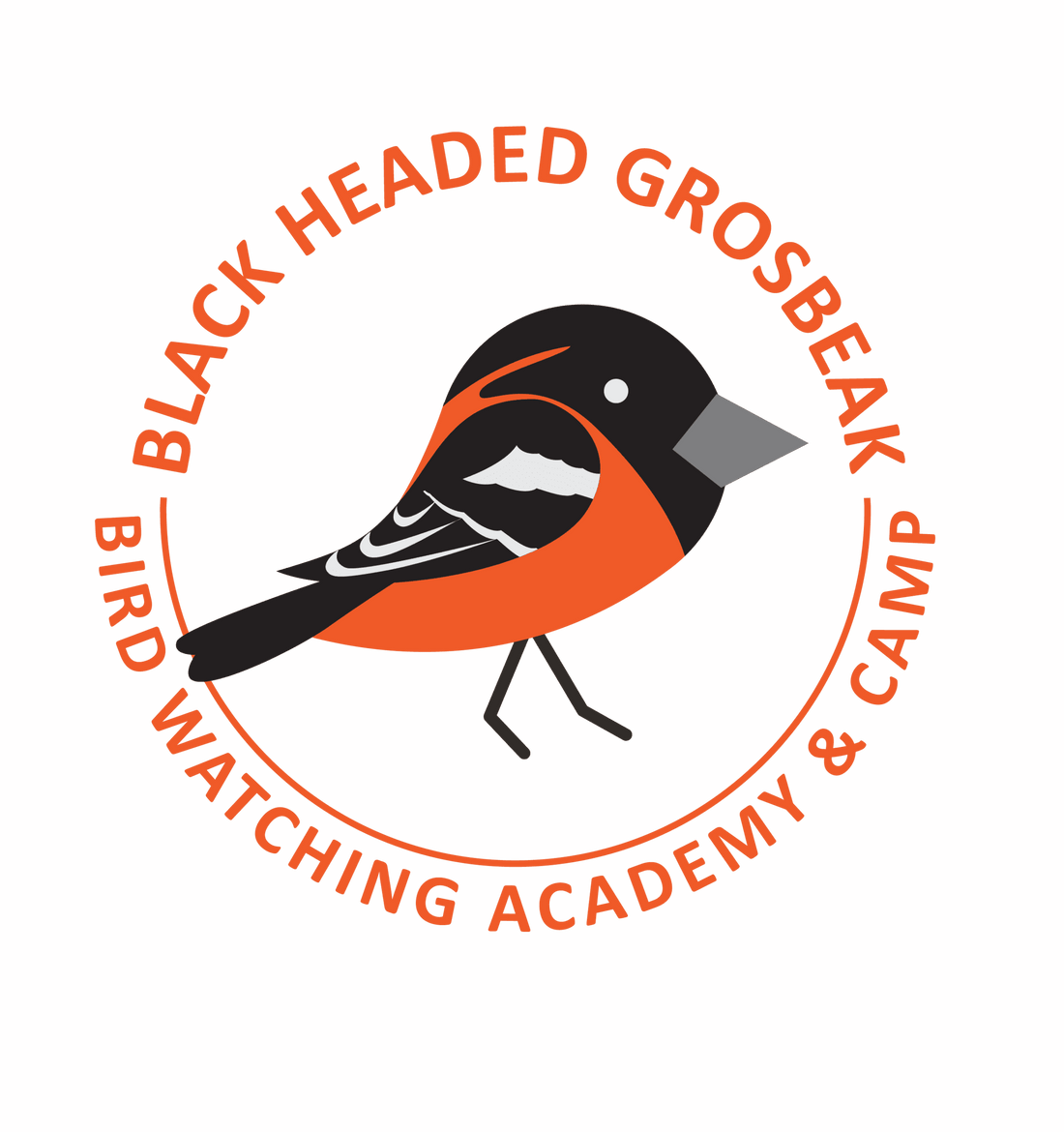 Black-headed Grosbeak