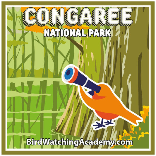 Bird Watching at Congaree National Park