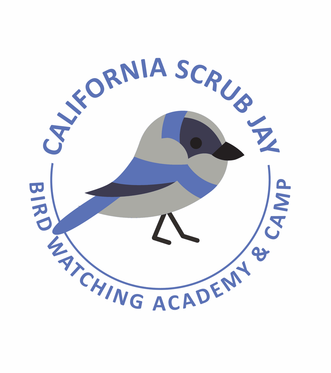 California Scrub Jay