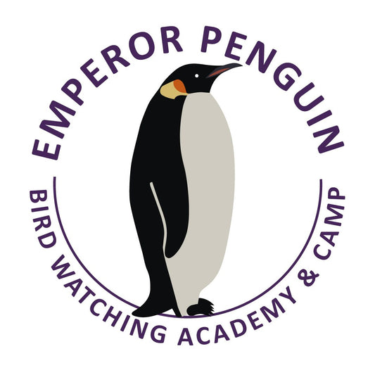 10 Amazing Facts About Emperor Penguins