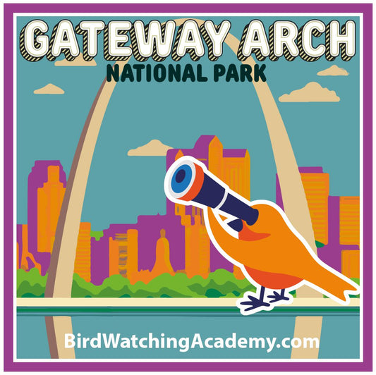 Bird Watching at Gateway Arch National Park
