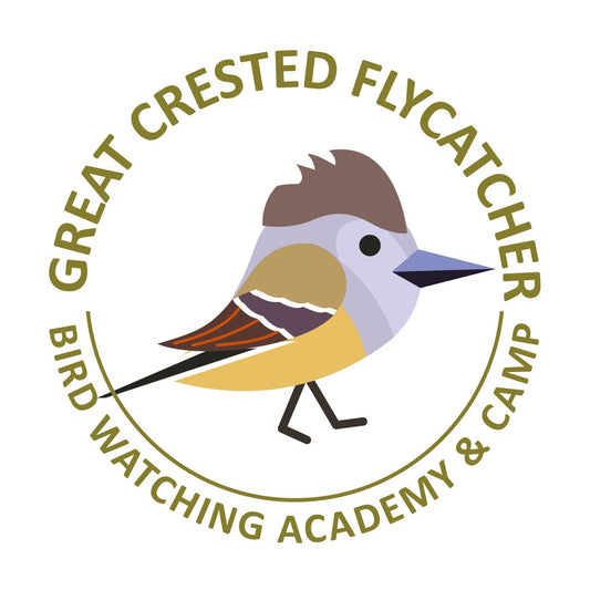 Great Crested Flycatcher