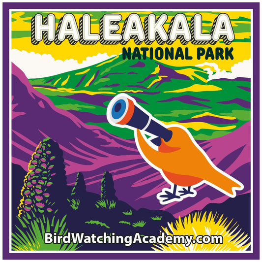 Bird Watching at Haleakala National Park