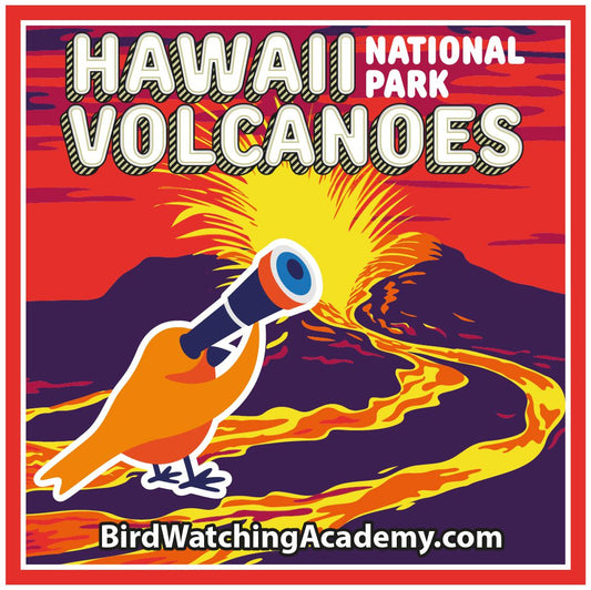Bird Watching at Hawaiʻi Volcanoes National Park