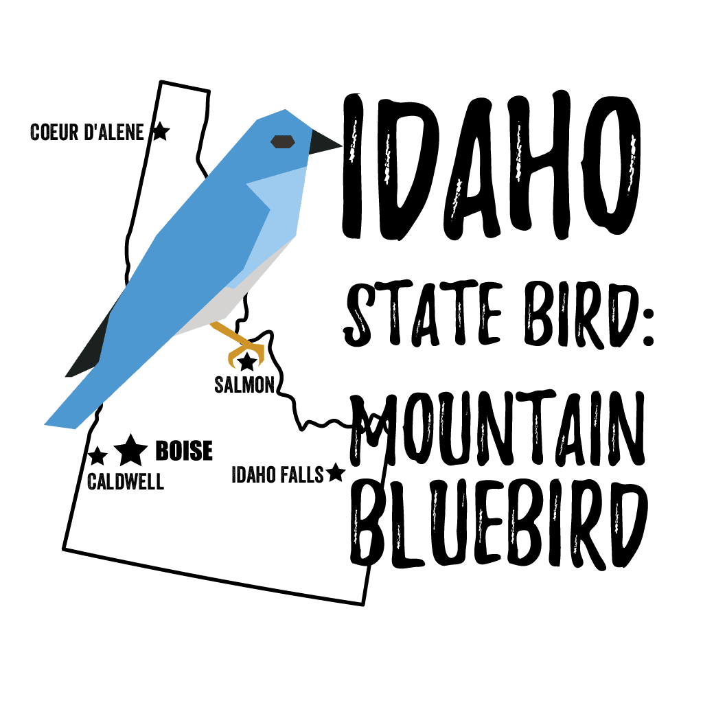 Idaho State Bird