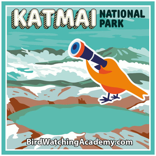 Bird Watching at Katmai National Park