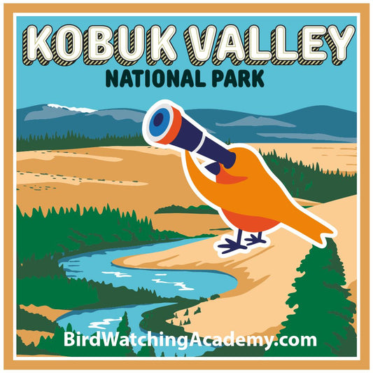 Bird Watching at Kobuk Valley National Park