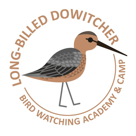 Long-billed Dowitcher