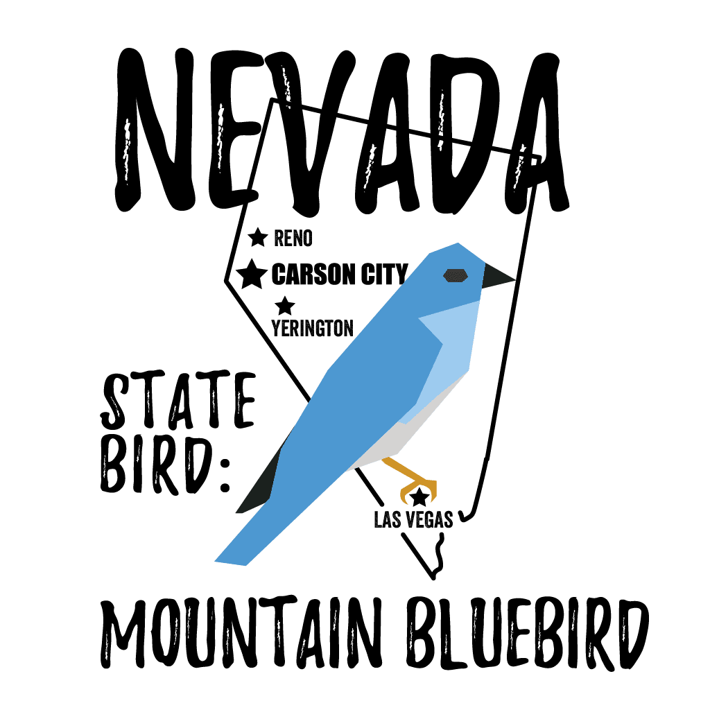 Nevada State Bird