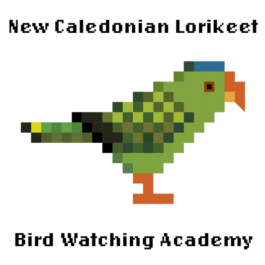 10 Amazing Facts about New Caledonian Lorikeet