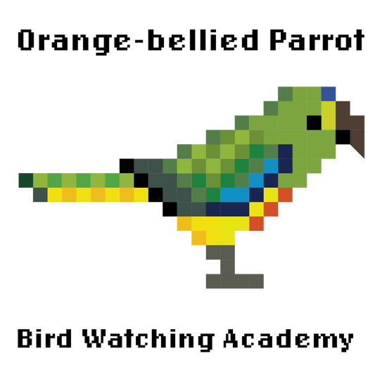 10 Amazing Facts about Orange-bellied Parrots