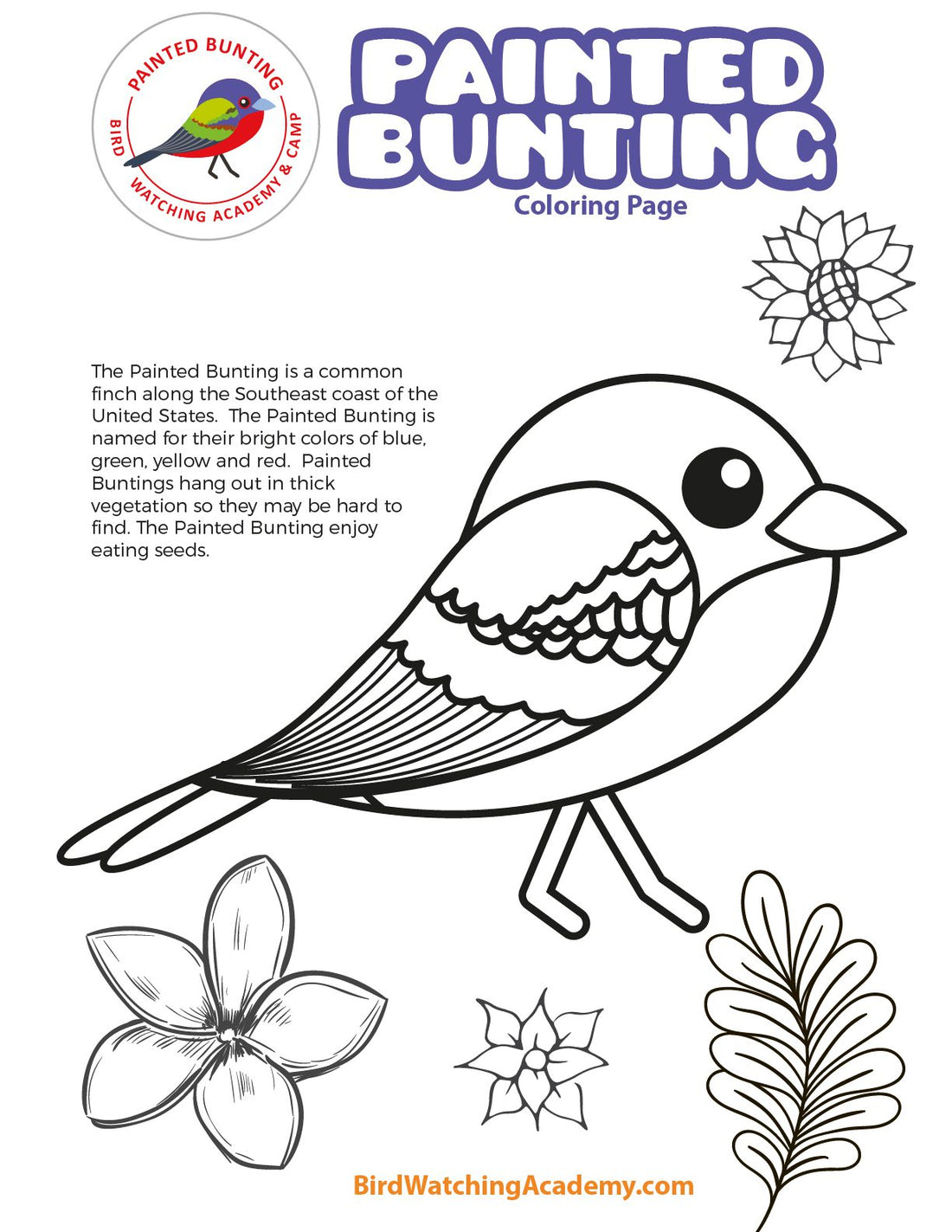 Painted Bunting Coloring Page