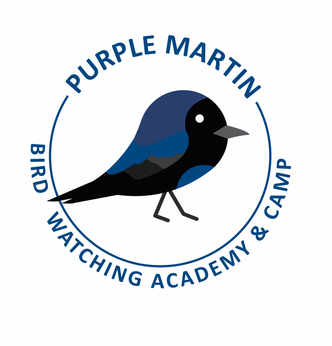 Purple Martin