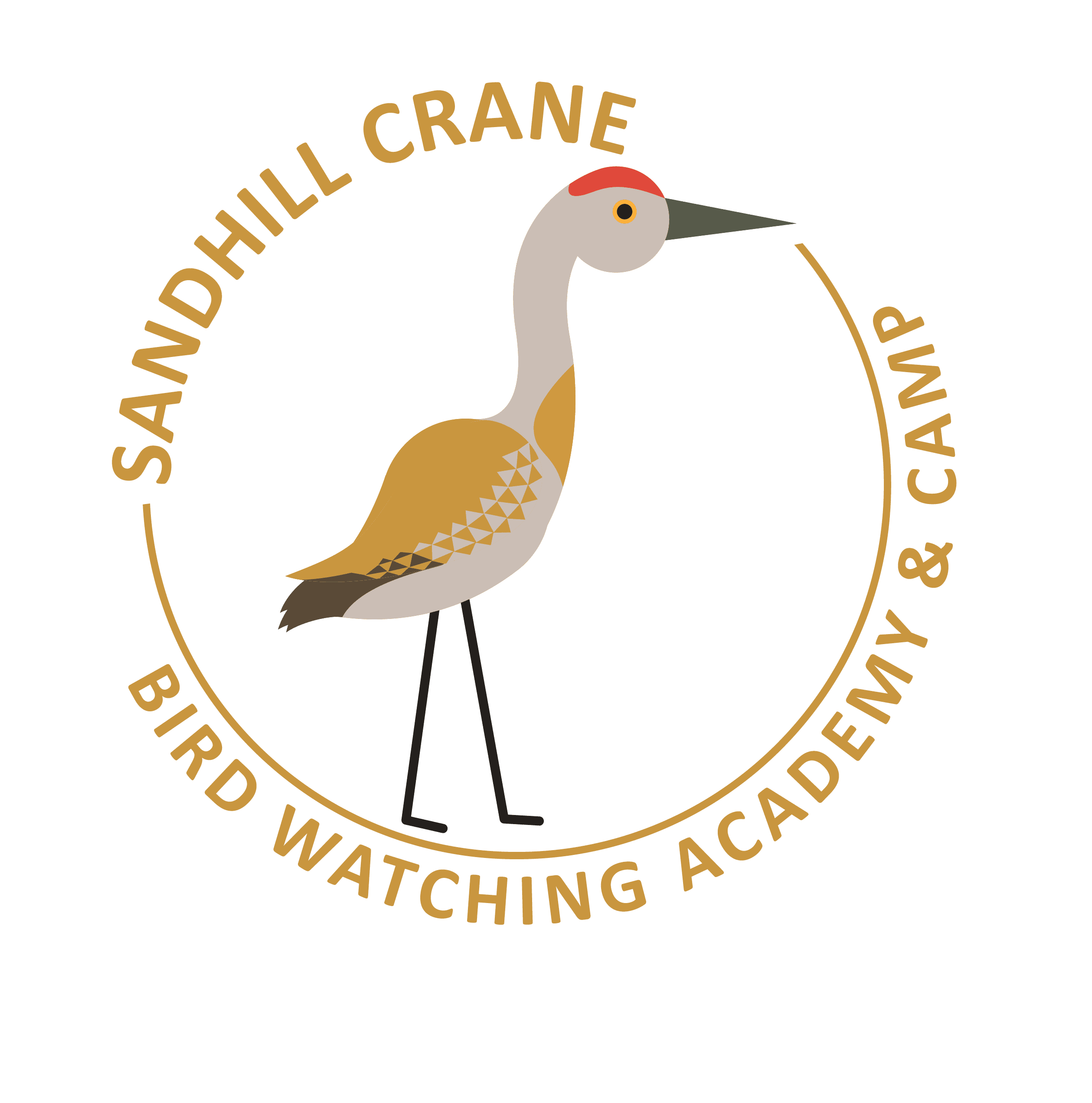 Sandhill Crane My Store