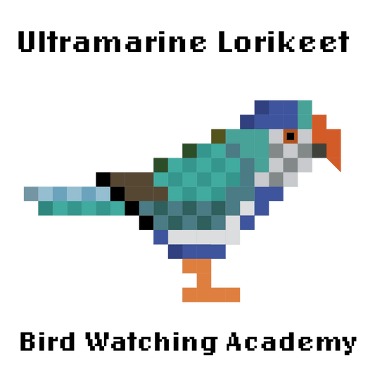 10 Amazing Facts about Ultramarine Lorikeets