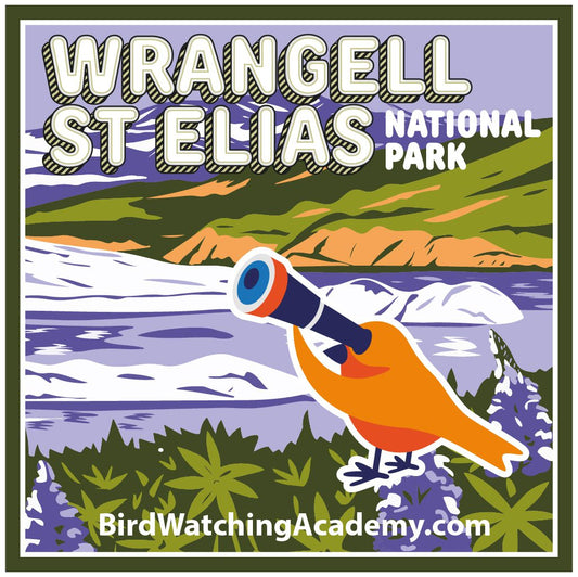 Bird Watching at Wrangell-St.Elias National Park