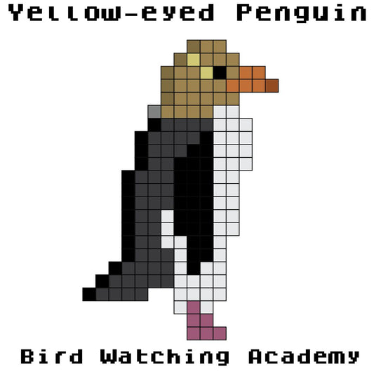 10 Amazing Facts about Yellow-eyed Penguins