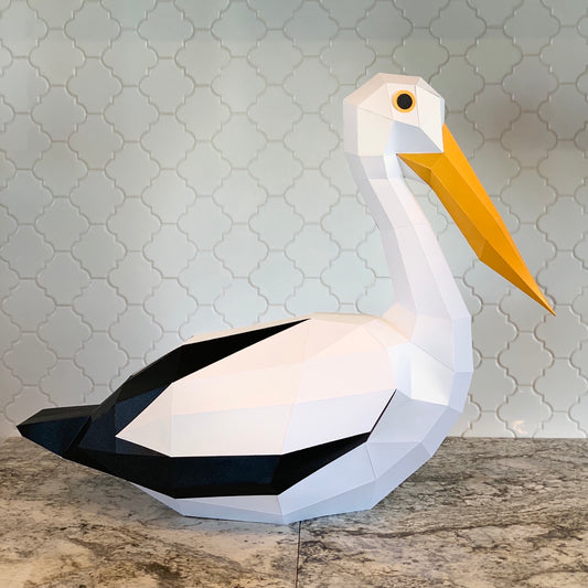 American White Pelican 3D Paper Craft Model