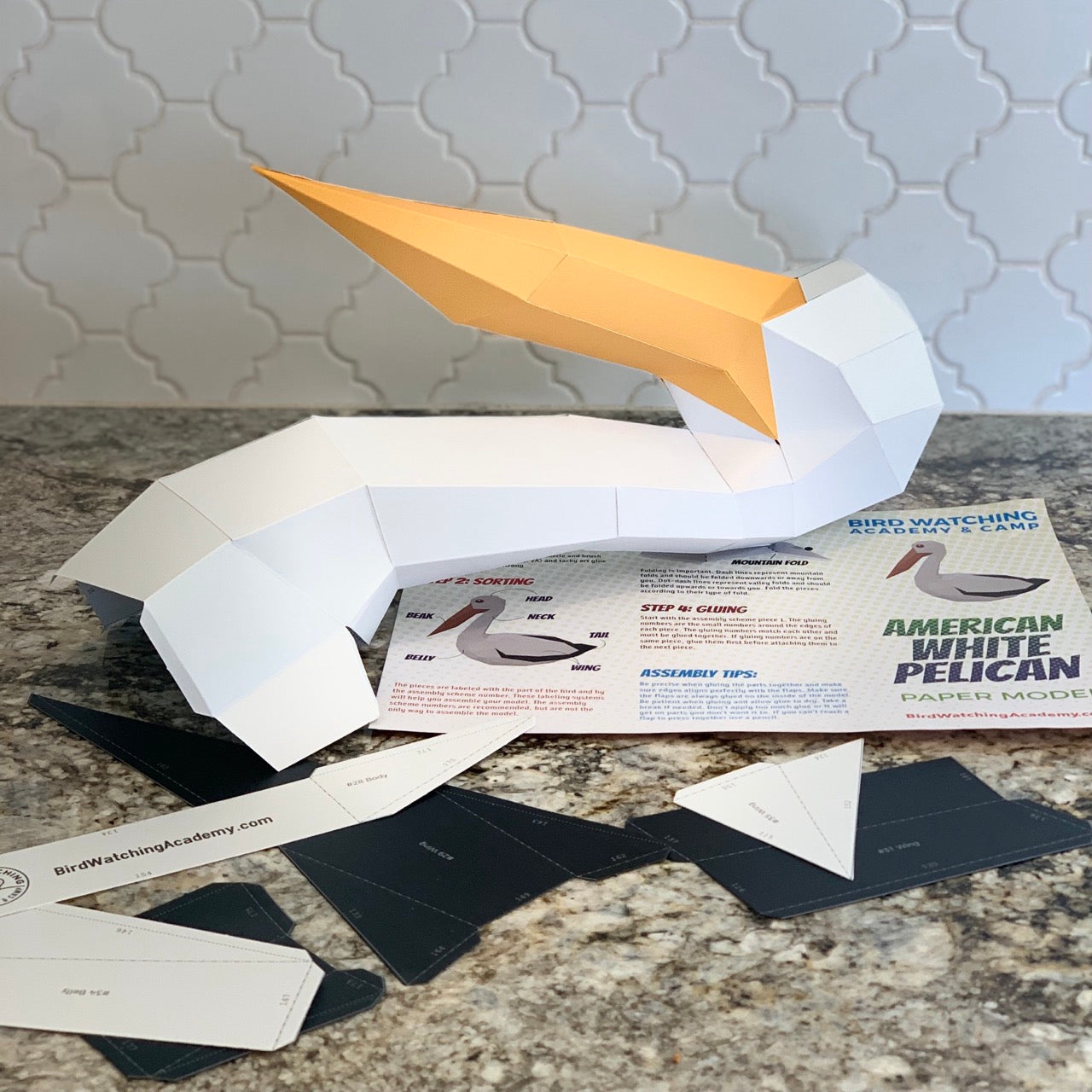 American White Pelican 3D Paper Craft Model