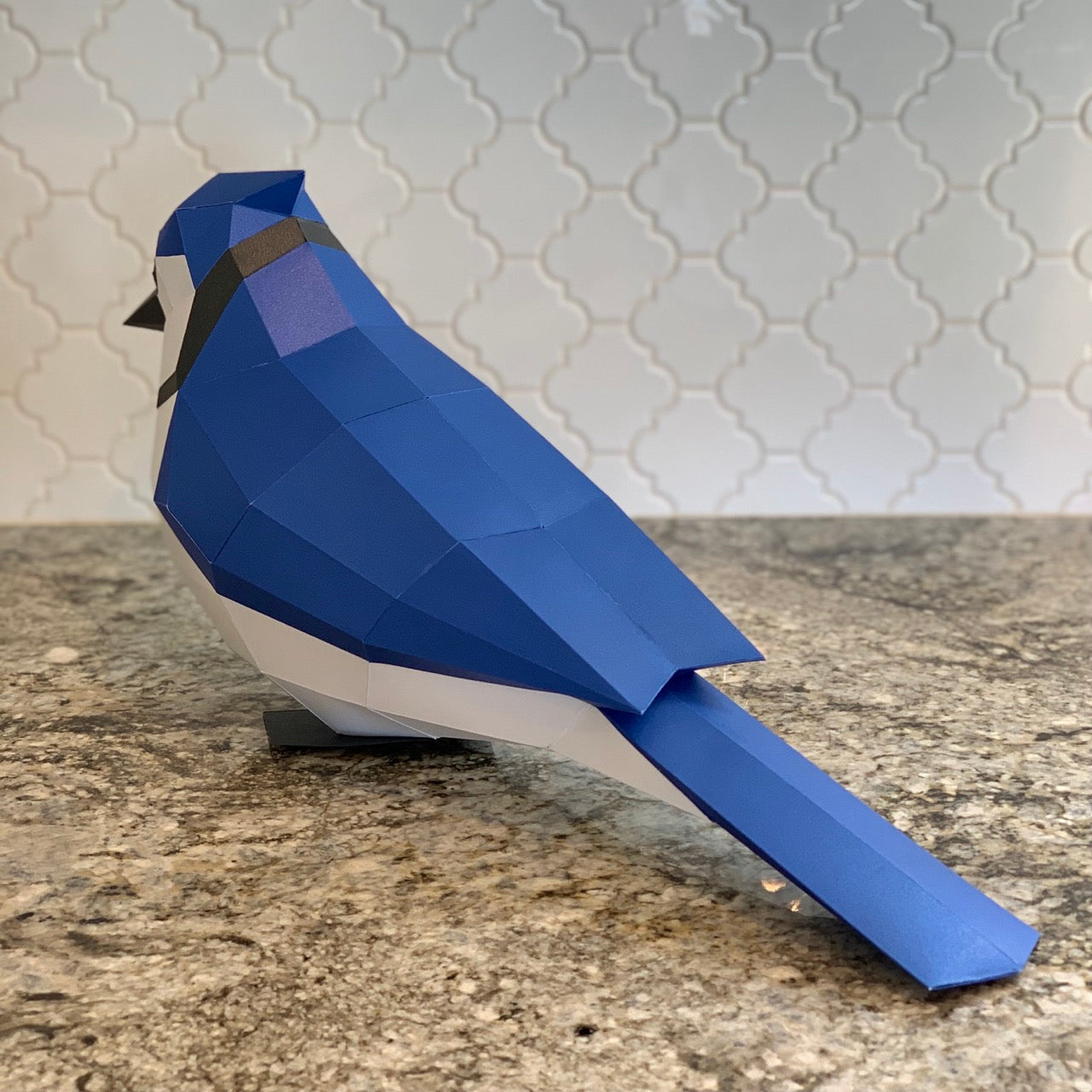 Blue Jay 3D Paper Craft Model