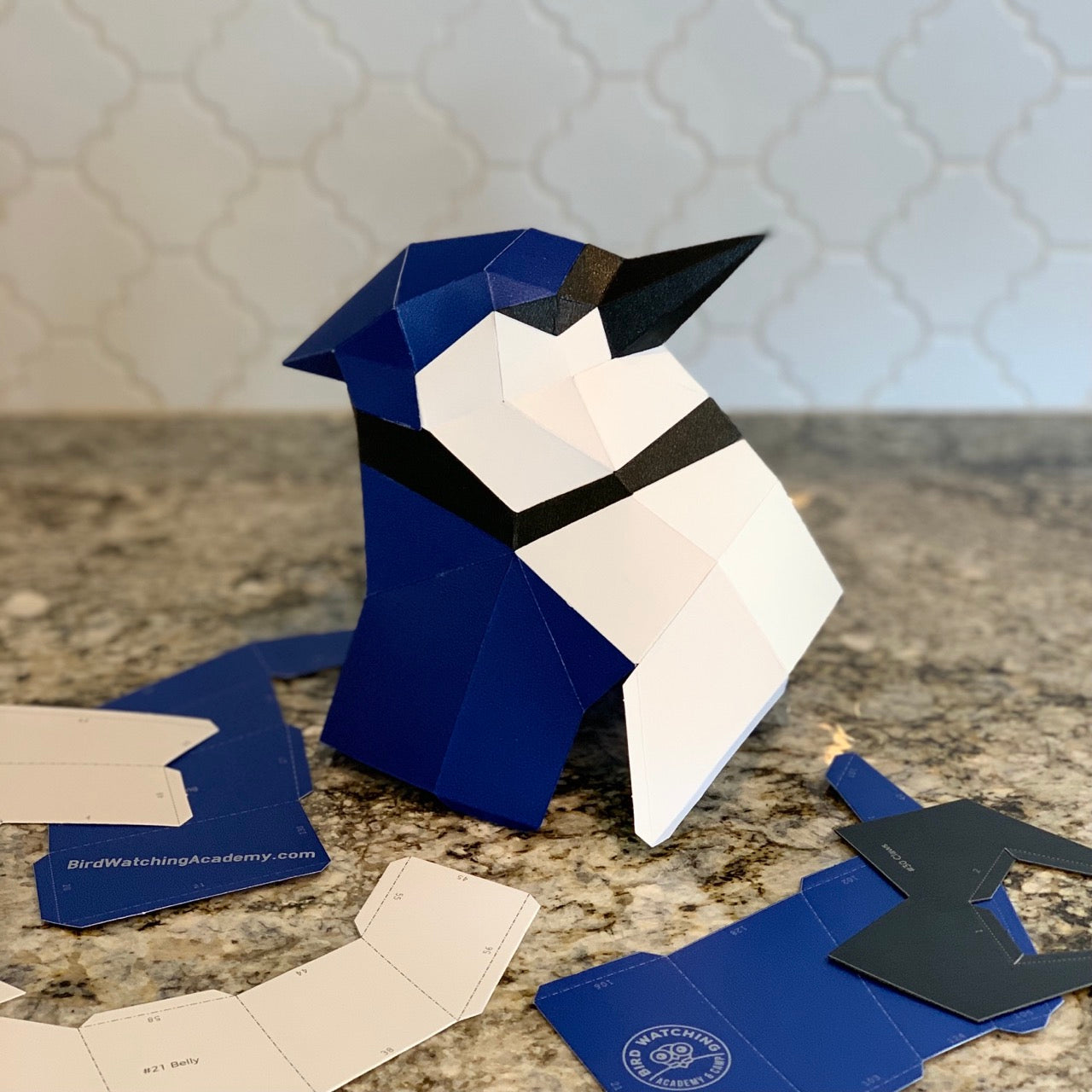 Blue Jay 3D Paper Craft Model