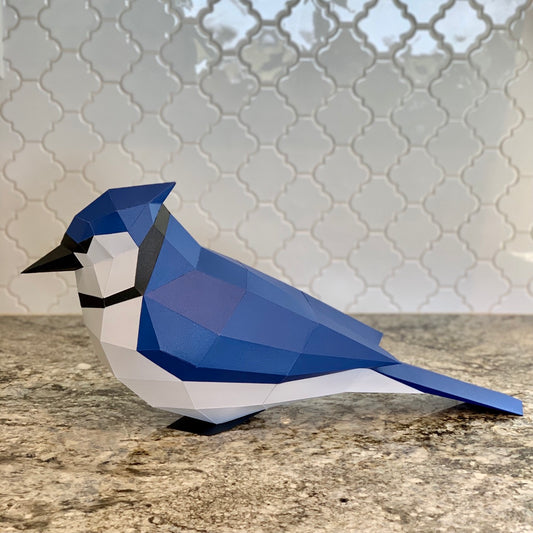 Blue Jay 3D Paper Craft Model