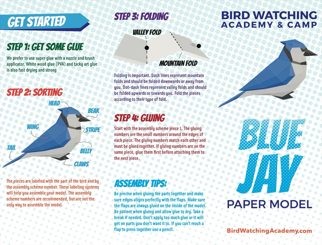 Blue Jay 3D Paper Craft Model