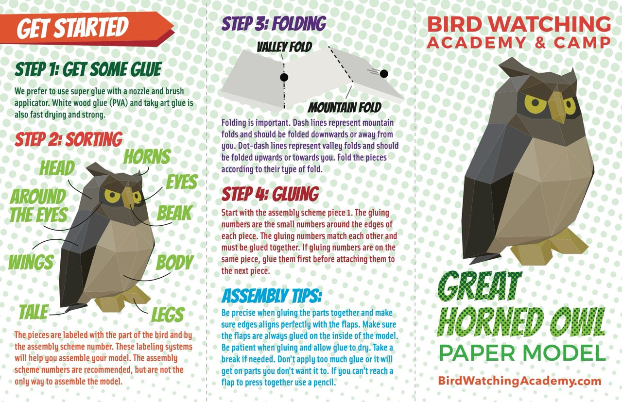 Great Horned Owl 3D Paper Craft Model