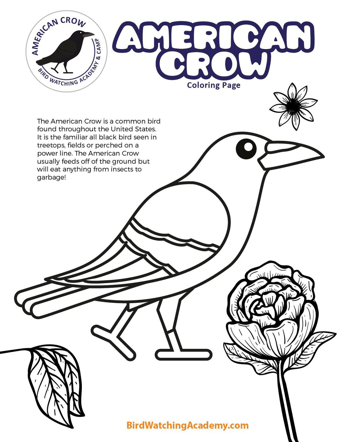 American Crow Coloring Page