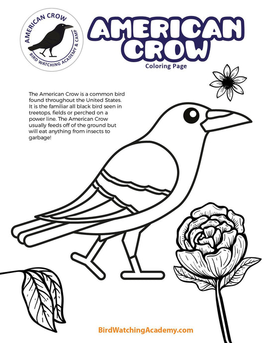 American Crow Coloring Page