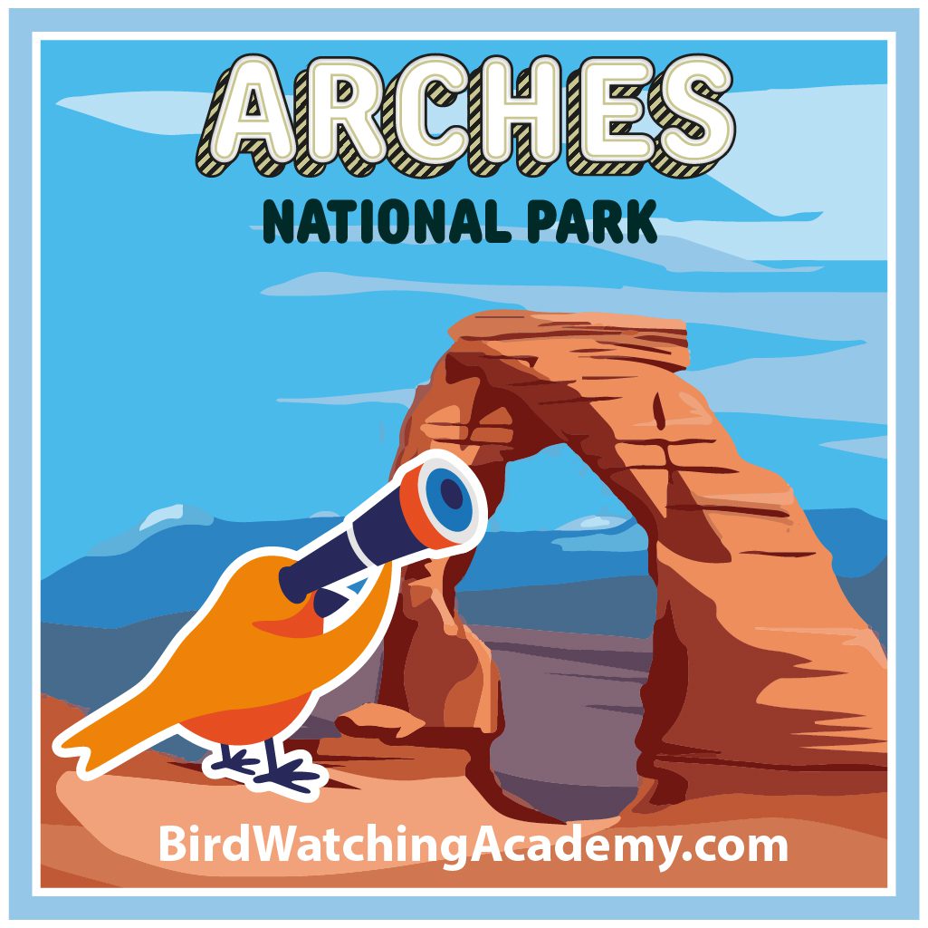 Bird Watching at Arches National Park