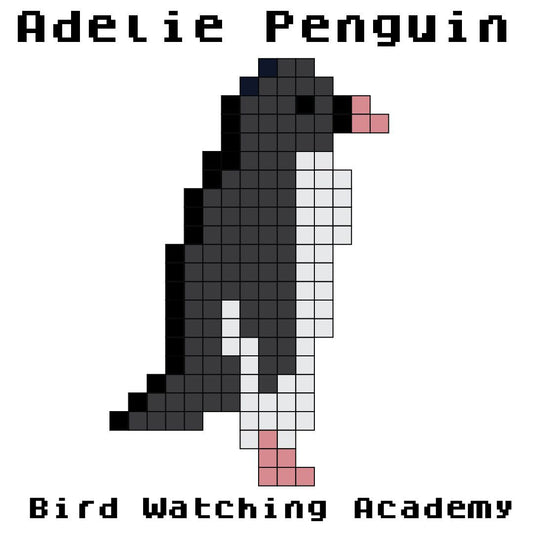 10 Amazing Facts about Adelie Penguins
