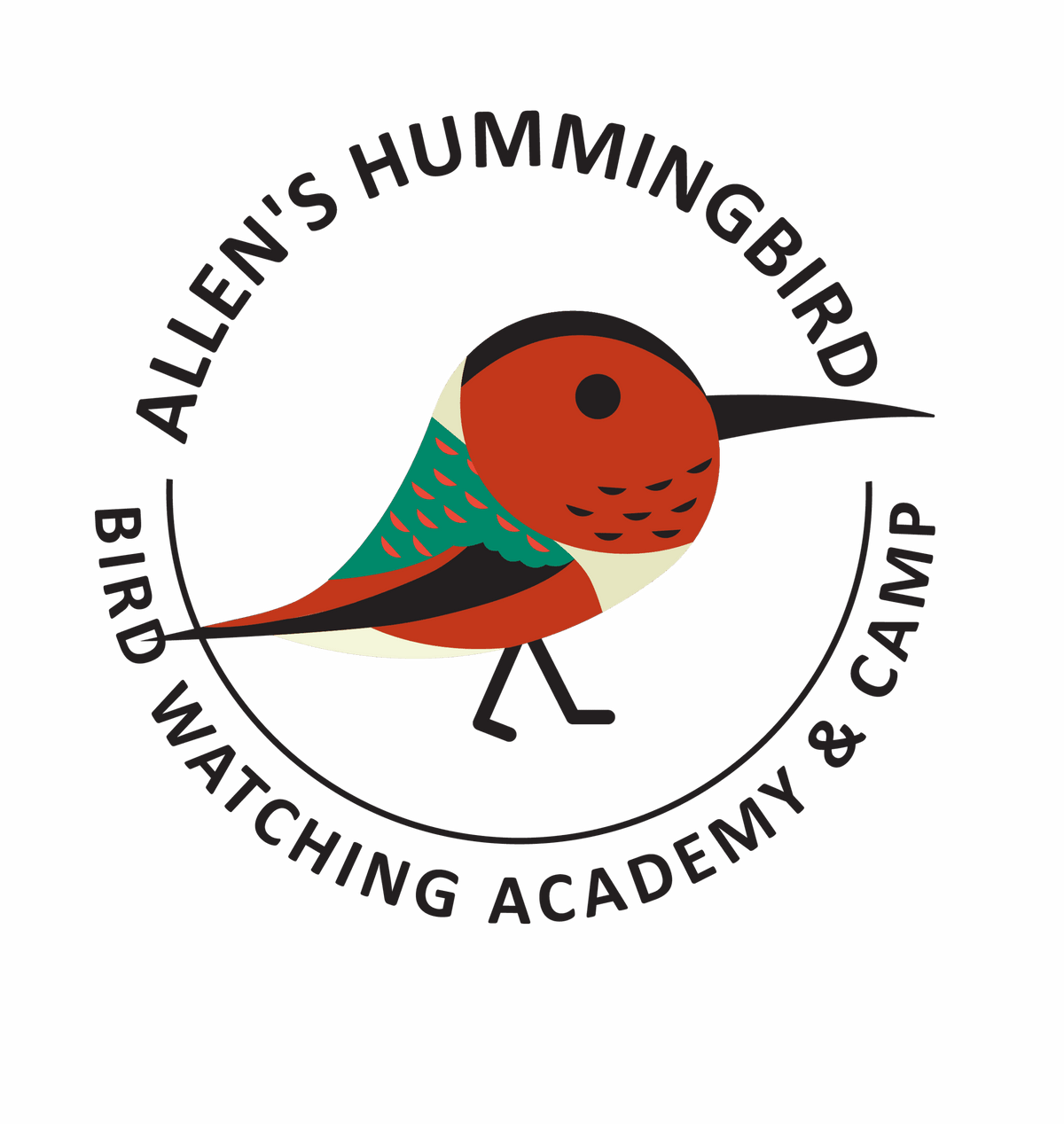 Allen’s Hummingbird – My Store