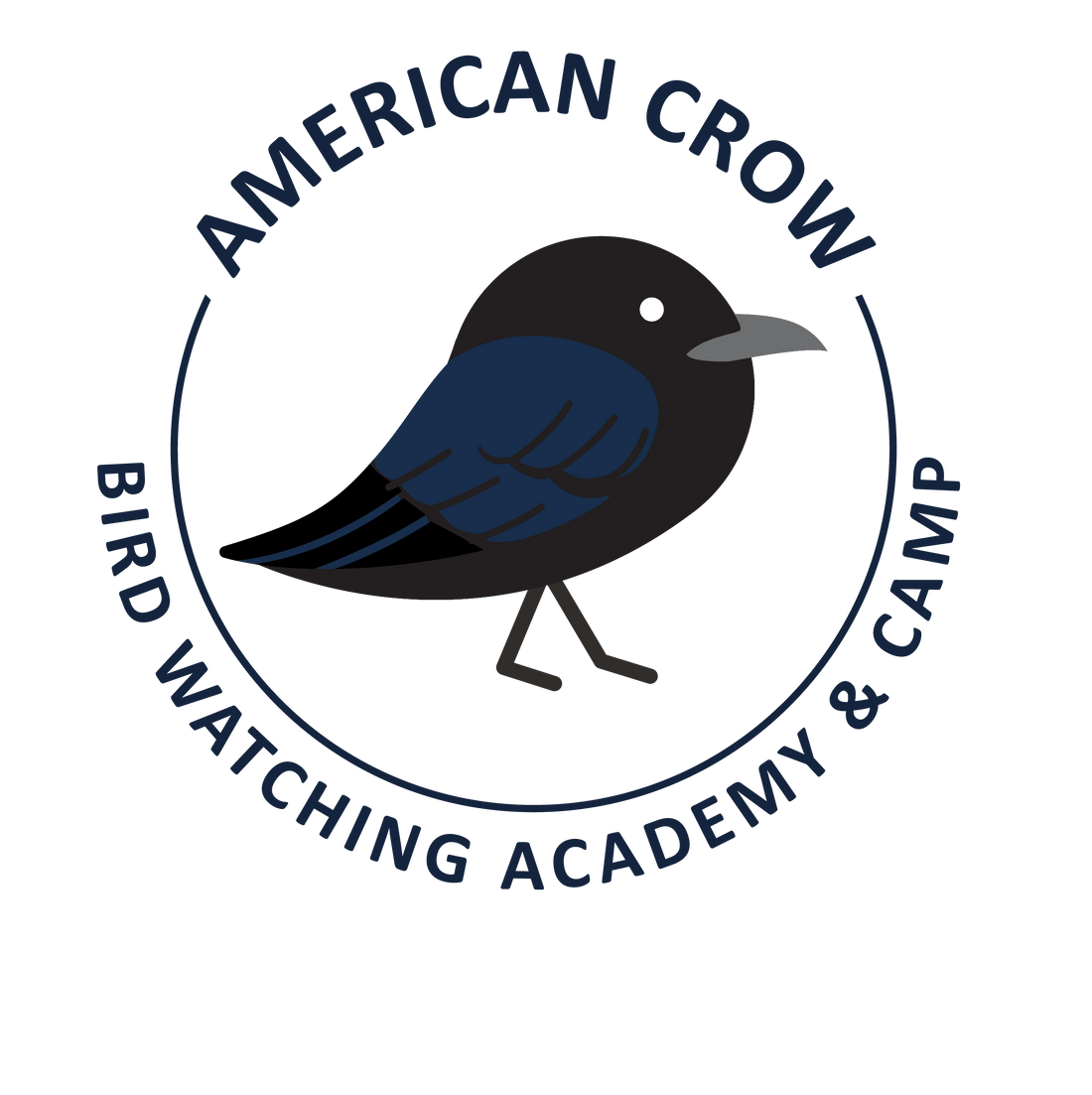 American Crow