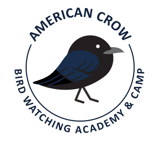 American Crow