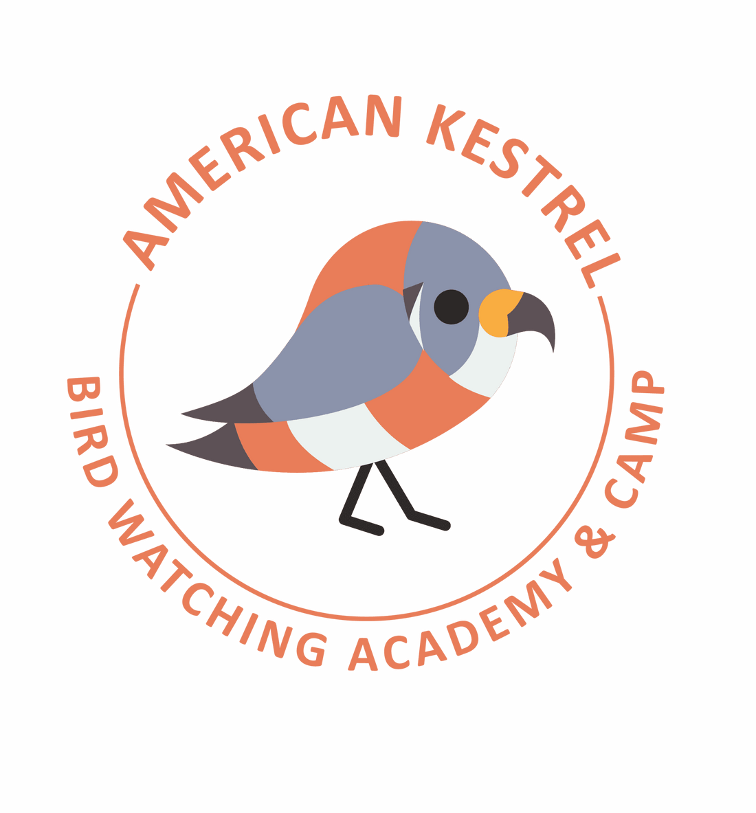 American Kestrel