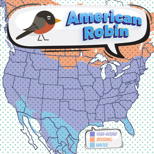 Robin Migration