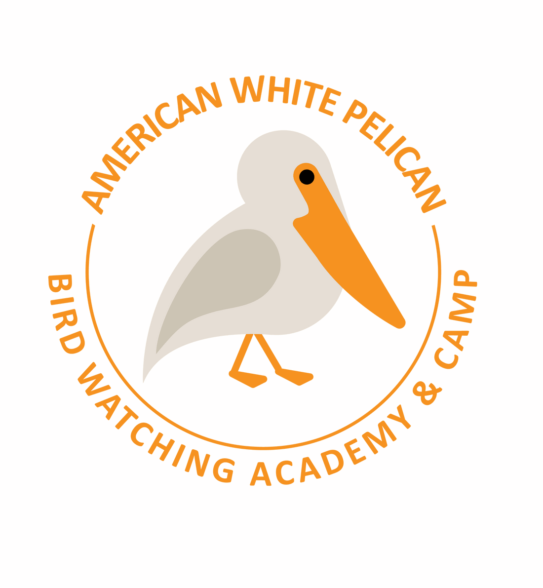 American White Pelican