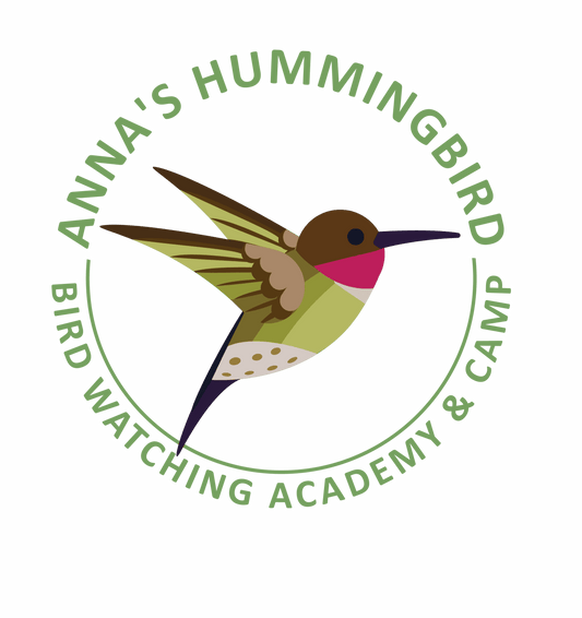 When to Stop Feeding Hummingbirds