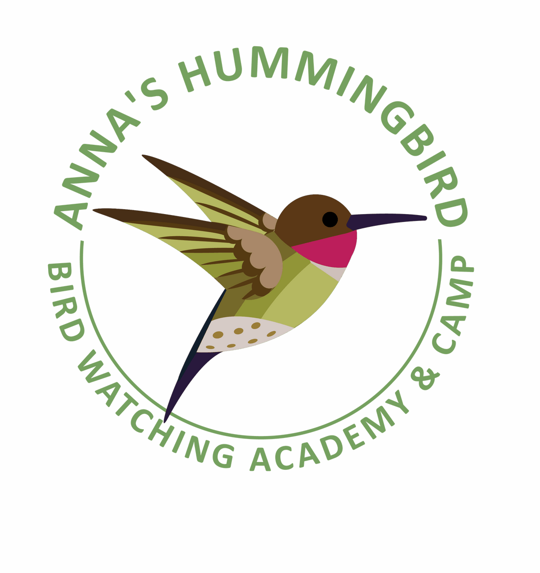 Annas Hummingbird