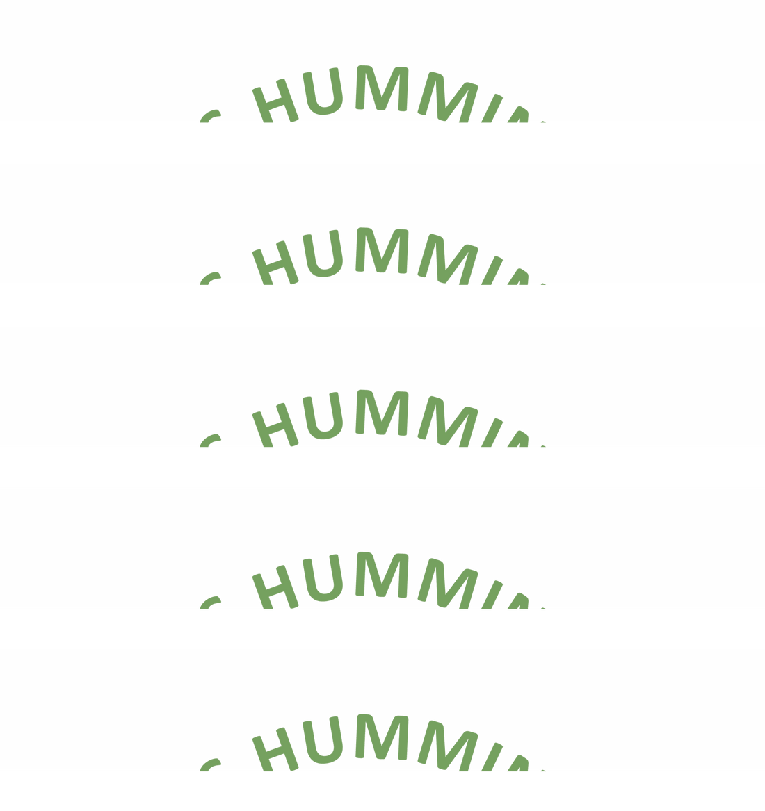 Where Do Hummingbirds Go In Winter