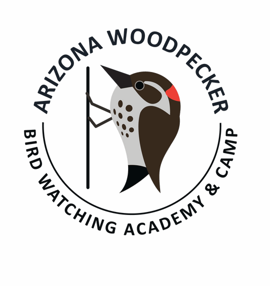 Arizona Woodpecker