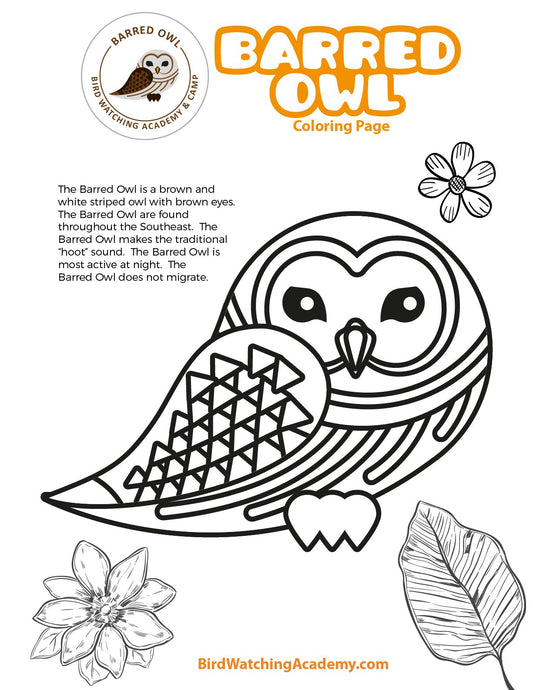 Barred Owl Coloring Page