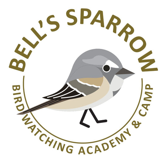 Bell’s Sparrow
