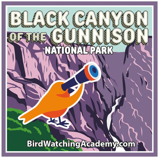Bird Watching at Black Canyon of the Gunnison National Park