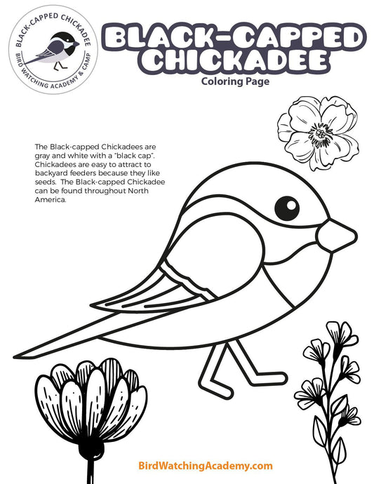 Black-capped Chickadee Coloring Page